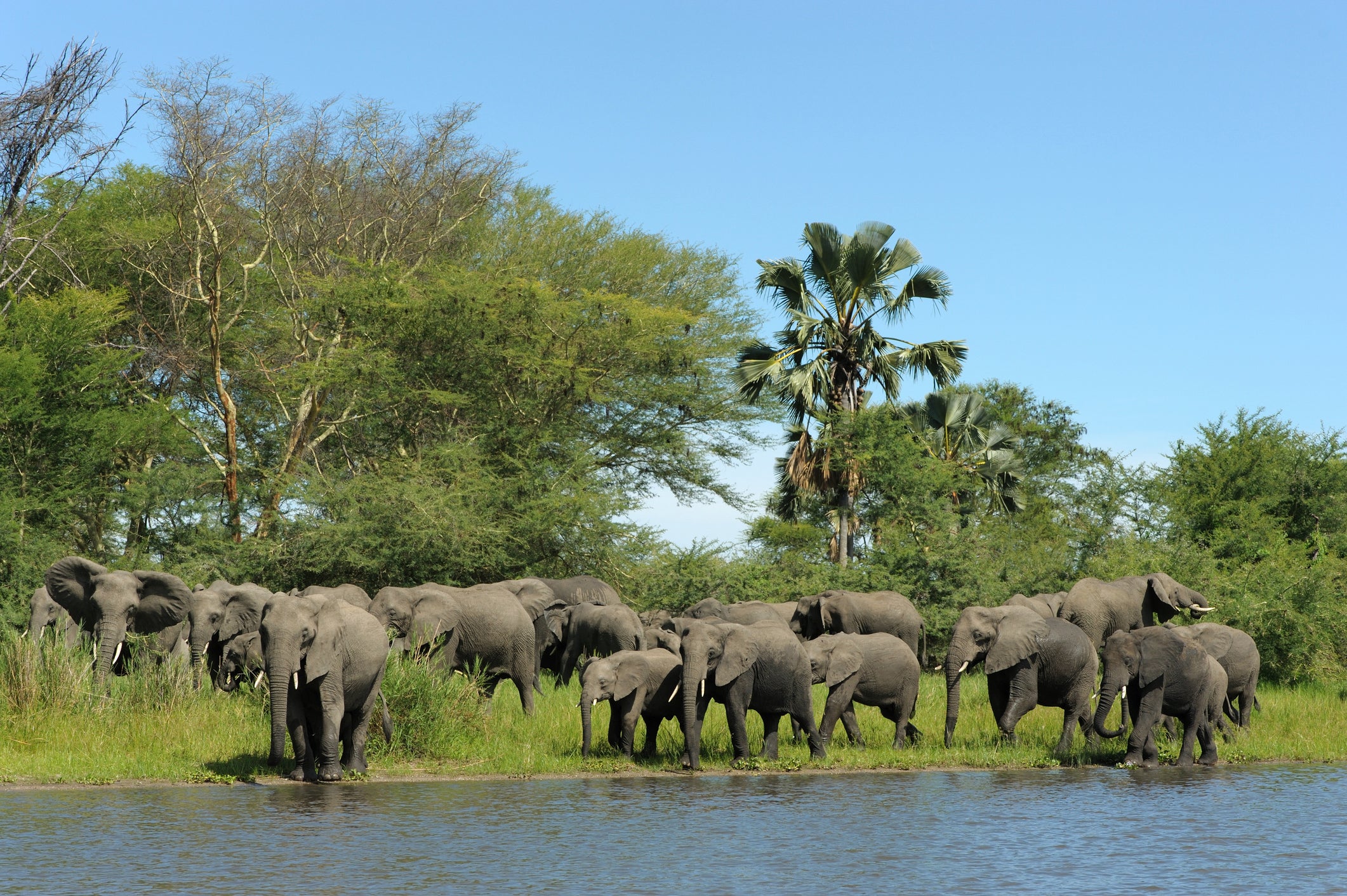 Read more about the article 10 of the most underrated vacation destinations in Africa