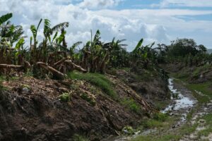 Read more about the article Puerto Rico hotels, tourism industry spared by Fiona, officials say