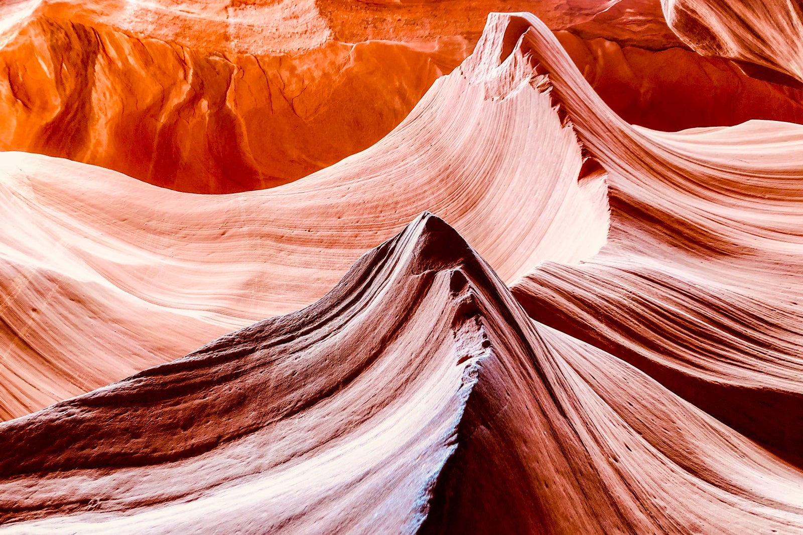 You are currently viewing 7 tips for your family vacation to Antelope Canyon