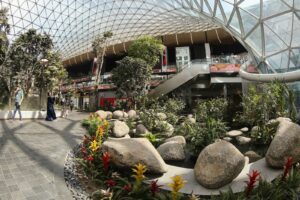 Read more about the article Doha’s Hamad Airport unveils massive indoor garden as part of expansion