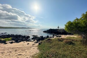 Read more about the article Galapagos cruise guide: Best itineraries, planning tips and things to do