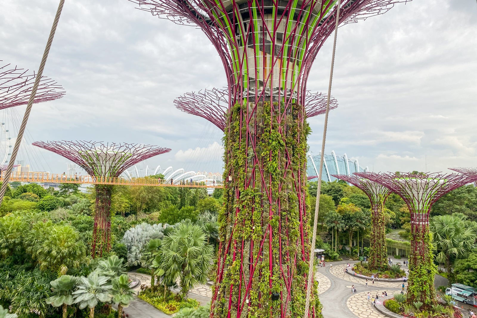 You are currently viewing Free Singapore tours return to Changi Airport after 2-year hiatus