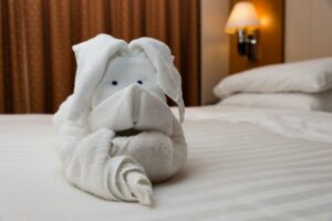 Read more about the article What is a cabin steward on a cruise? Learn about the people who keep your room clean