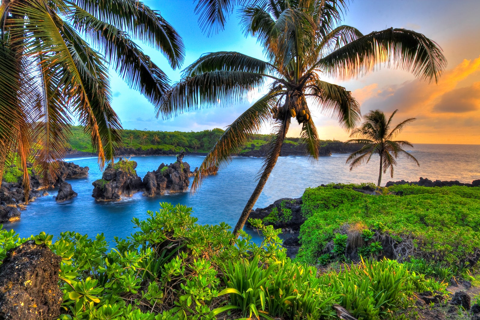 You are currently viewing Fly to Hawaii from multiple US cities for as little as $237