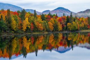 Read more about the article Where and when to see fall foliage across the US this year