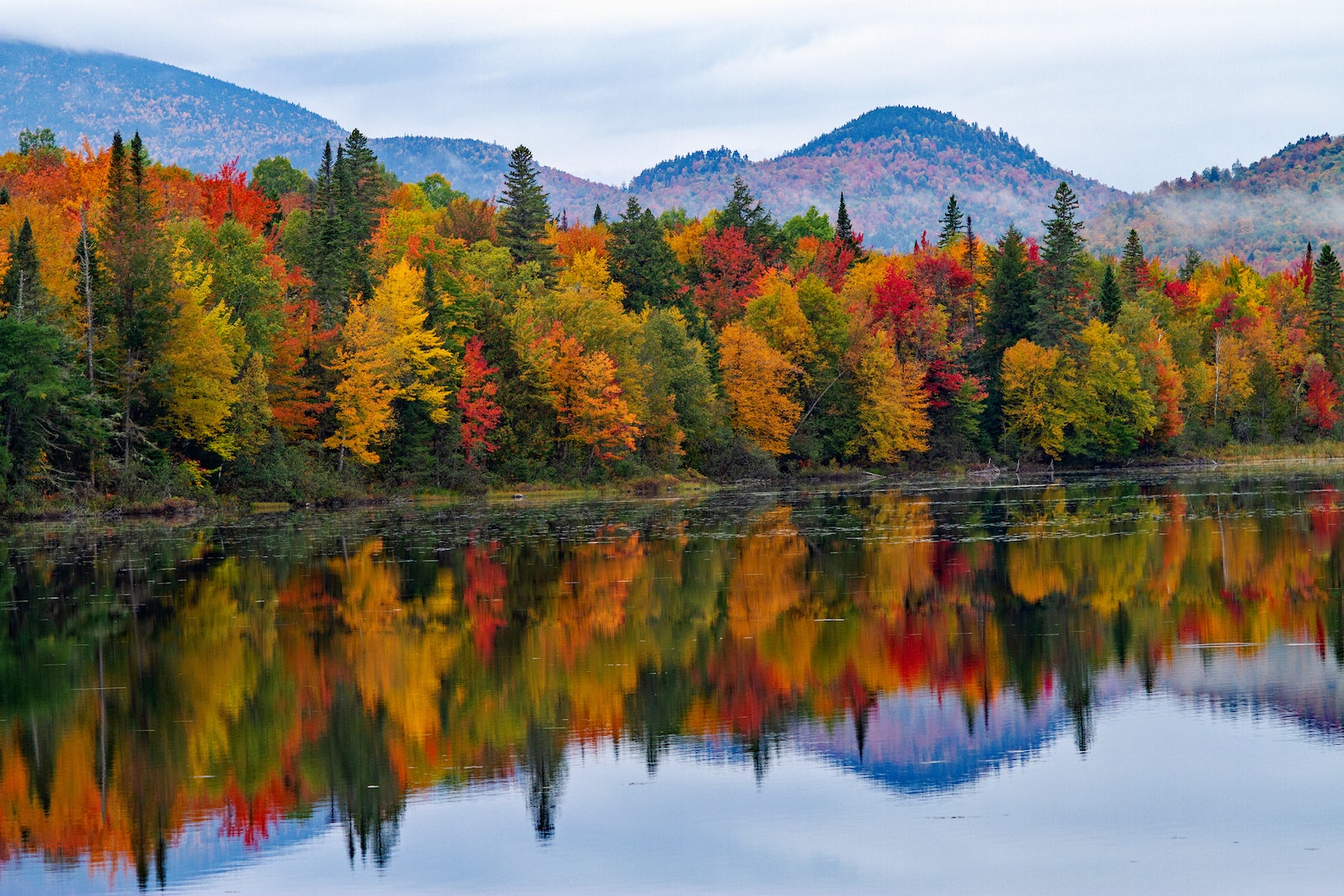 Read more about the article Where and when to see fall foliage across the US this year