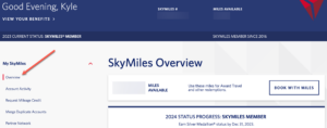 Read more about the article Your guide to Delta Air Lines lifetime elite status