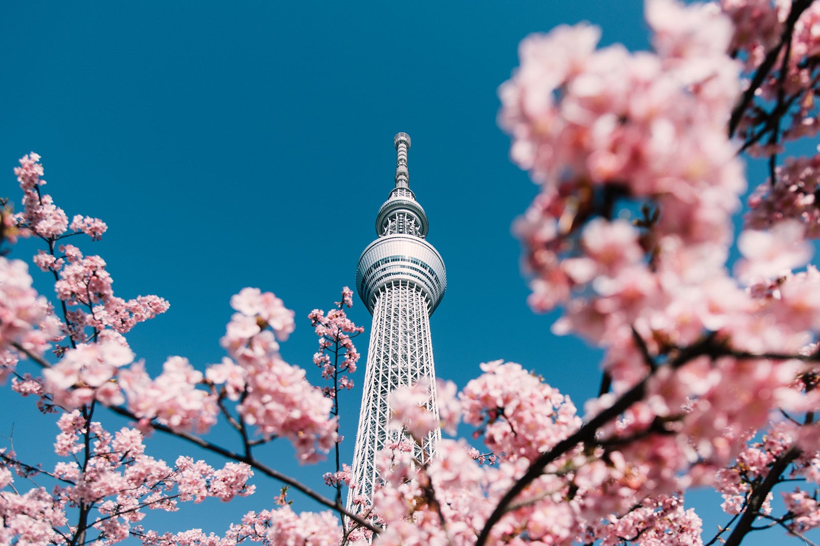 You are currently viewing Jump on this: Air France has flights to Japan from 53,000 points round-trip