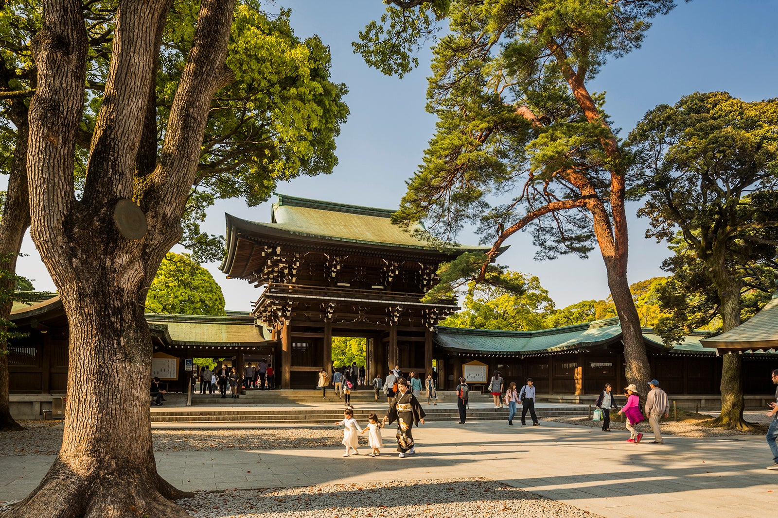 You are currently viewing How to avoid the crowds while traveling in Japan