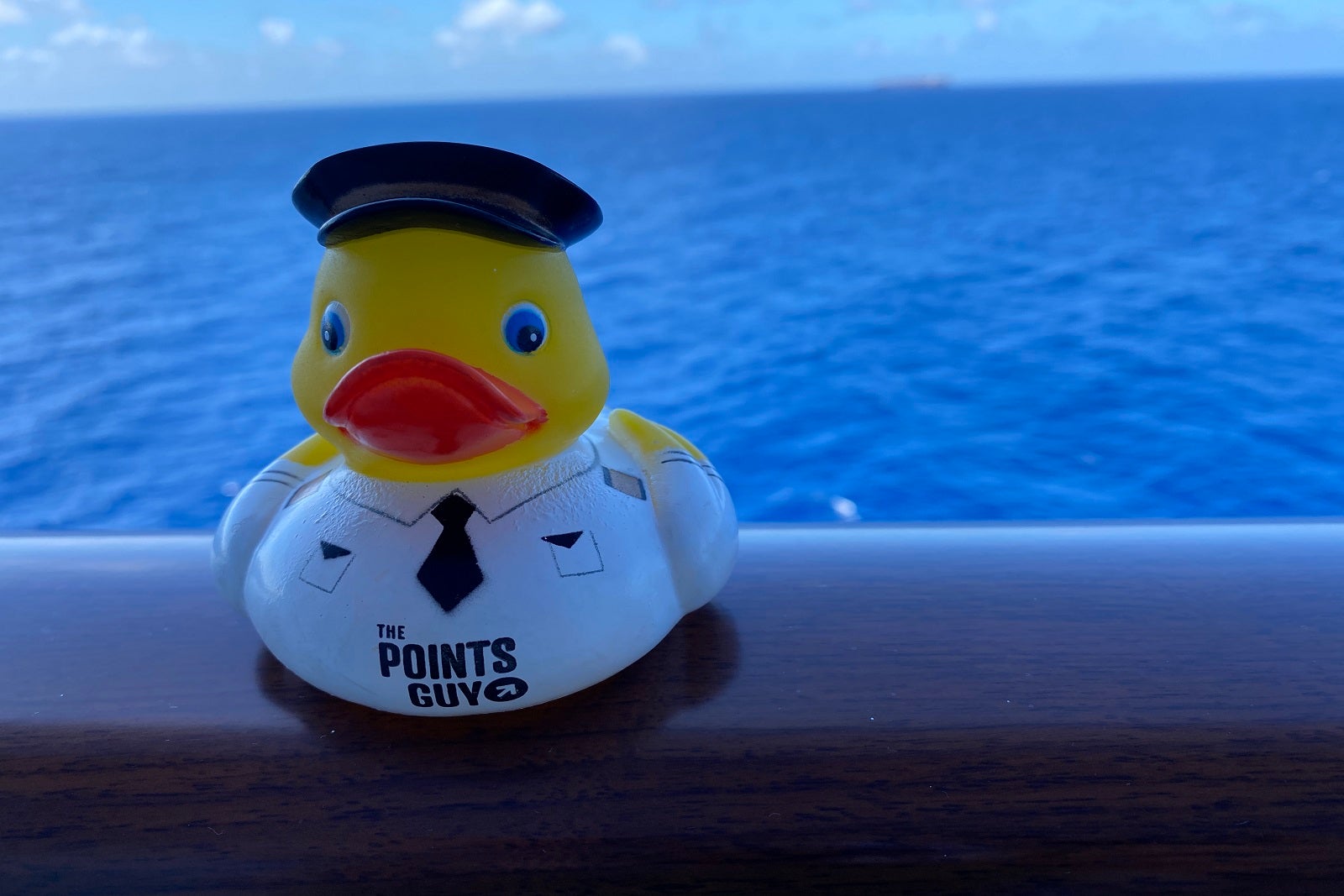 Read more about the article What the duck? Why people hide these kiddie toys on cruises — and how you can, too