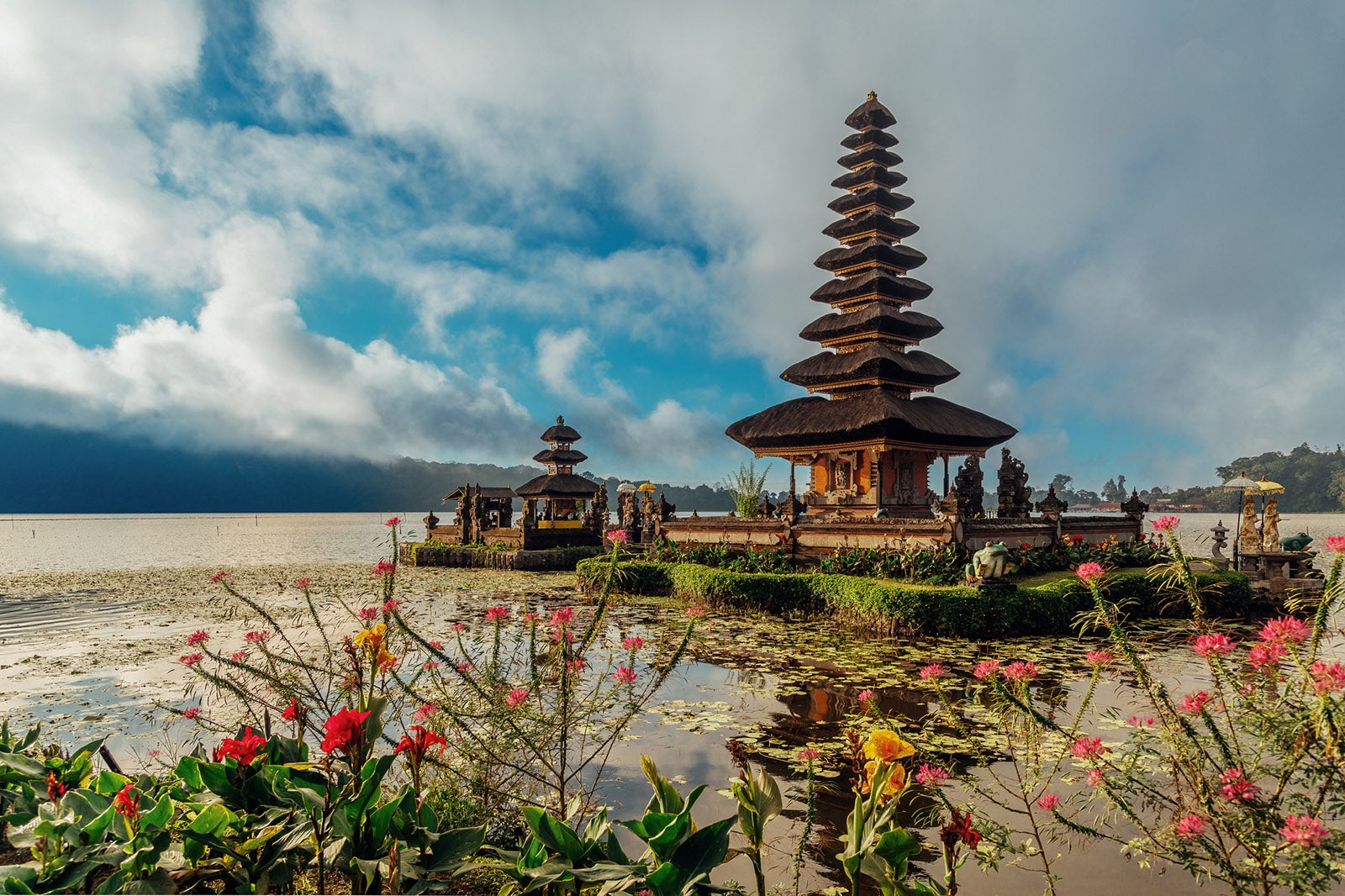 You are currently viewing My beginners blueprint to find the flight awards you want