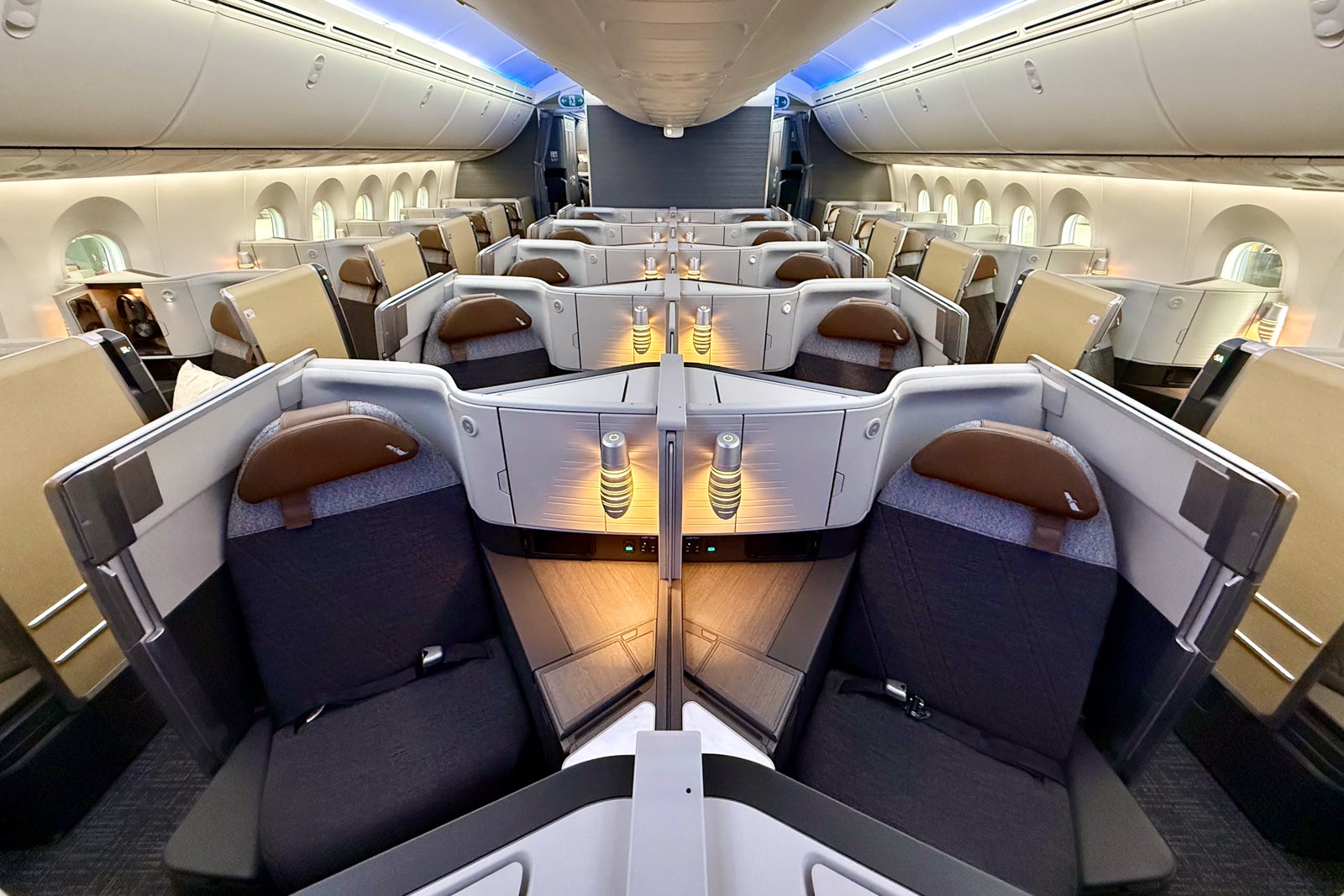 You are currently viewing 4 things this American elite member was surprised by on the new ‘premium’ Dreamliner