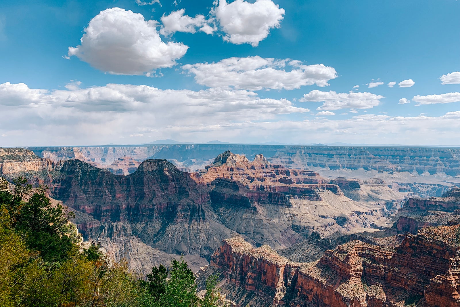 You are currently viewing Grand Canyon North Rim fire: What you should know if you have plans to visit the national park
