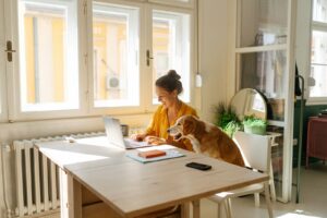 Read more about the article How to use ExpertFlyer to find the real reason your flight was delayed or canceled