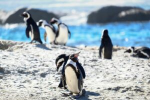 Read more about the article The 10 best places to travel in January 2026