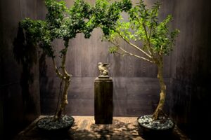 Read more about the article Swimming with Mount Fuji in the distance: A tranquil stay at Tokyo’s first JW Marriott hotel