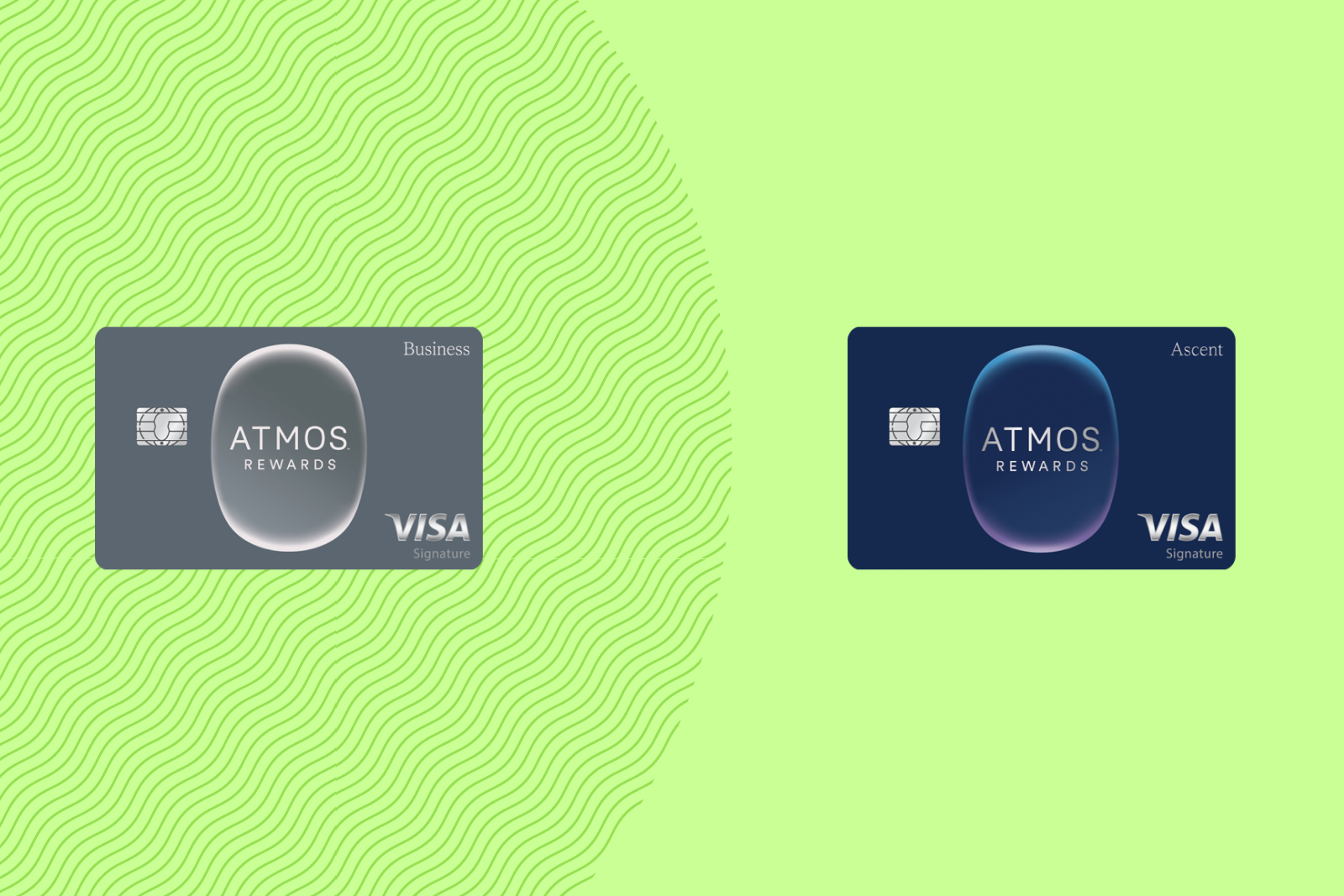 You are currently viewing Atmos Rewards Ascent vs. Business: Which $95 Alaska-Hawaiian card should you get?