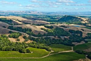 Read more about the article Wine country turf war? Alaska Airlines adds 3 Sonoma routes, returns to Long Beach