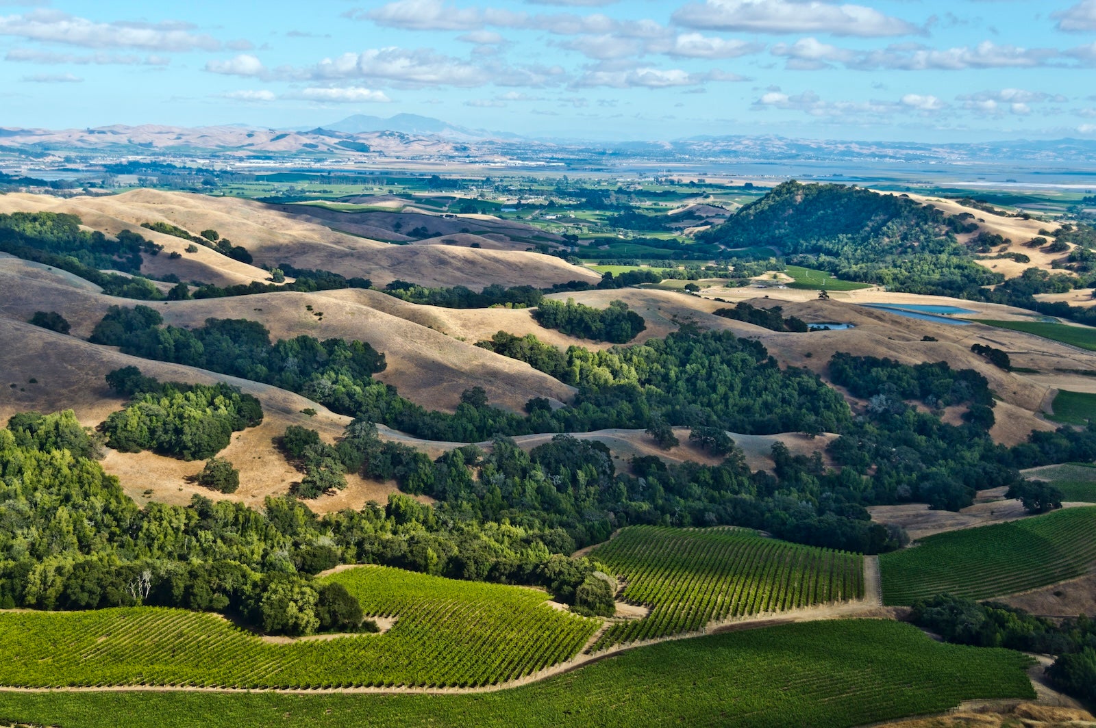 Read more about the article Wine country turf war? Alaska Airlines adds 3 Sonoma routes, returns to Long Beach