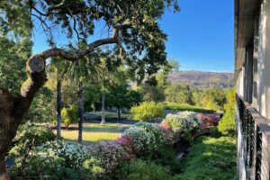 Read more about the article These two popular Hyatt hotels no longer accept suite upgrade awards