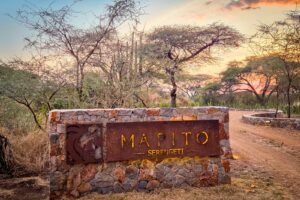 Read more about the article Save on your safari: A first look at Marriott Bonvoy’s new Serengeti safari camp